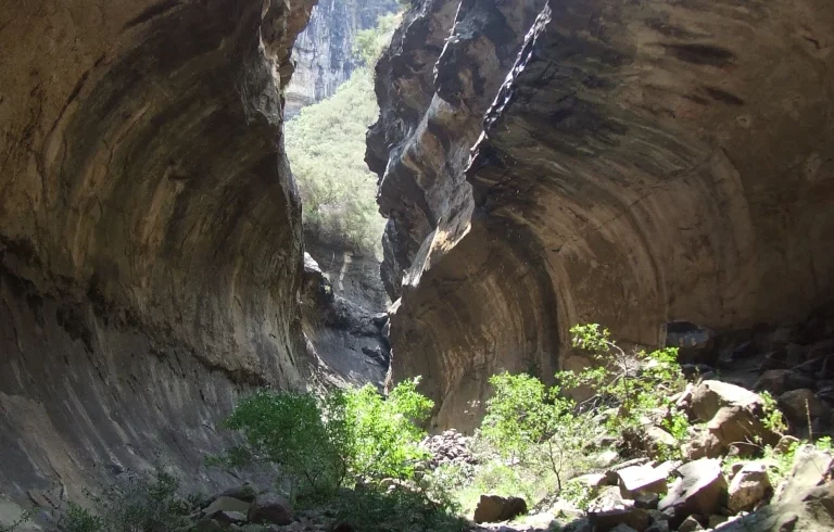 Echo Ravine Trail