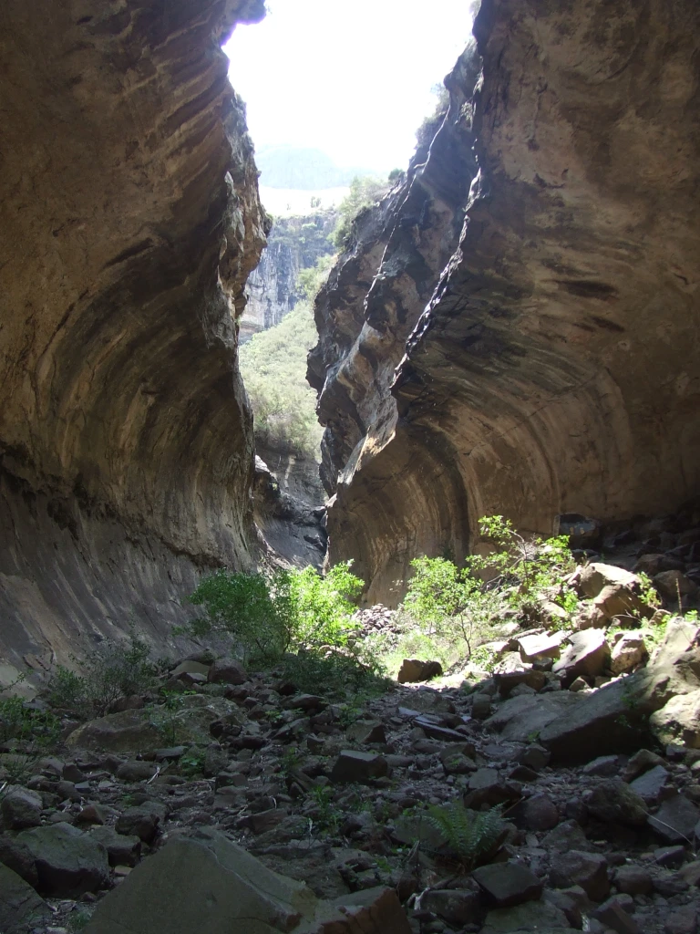 Echo Ravine Trail