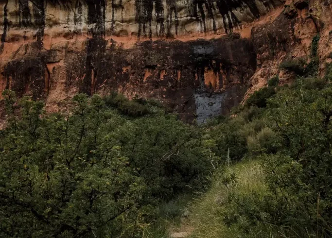 Rhebok Hiking Trail