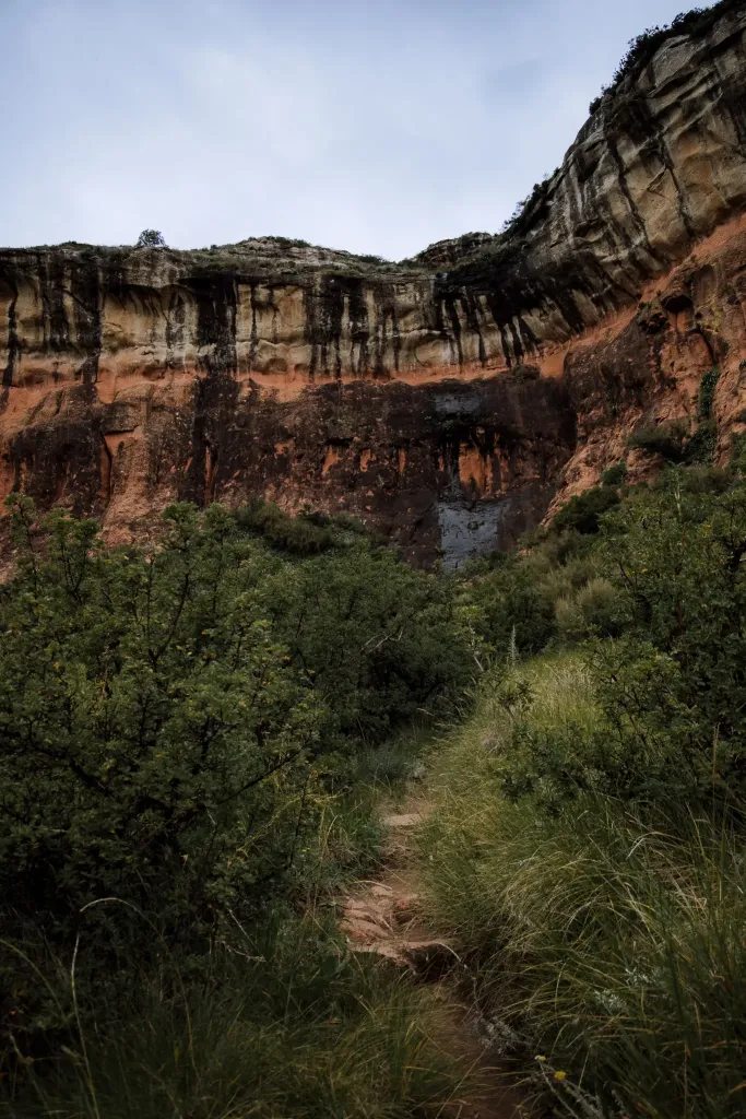 Rhebok Hiking Trail