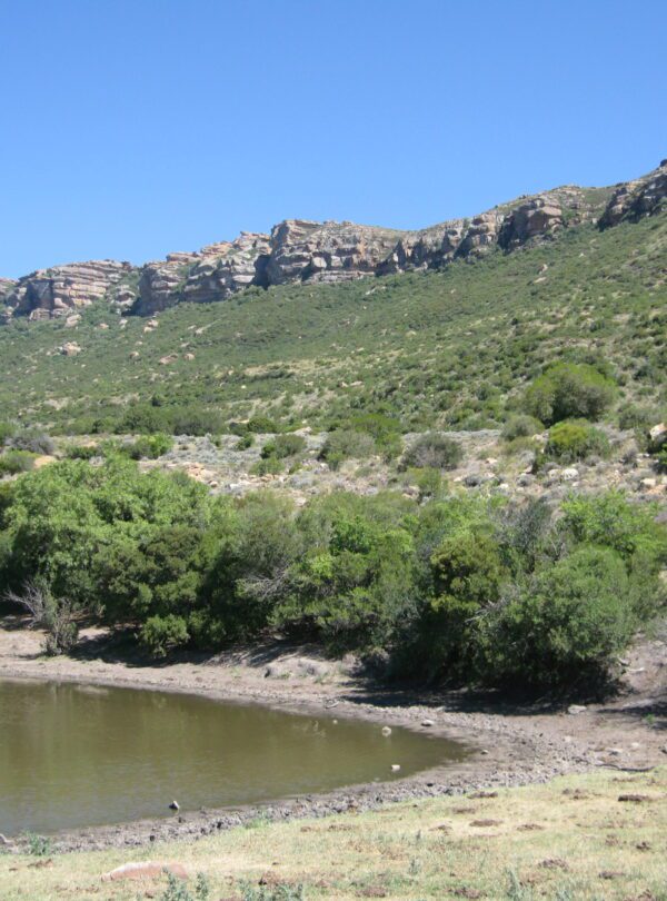 Visit Thaba-Nchu