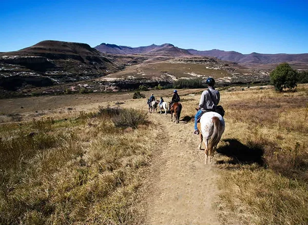 Free State Horse Riding