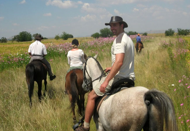 Horse Riding at Mont Plaisir Guest Farm – Fouriesburg, Free State
