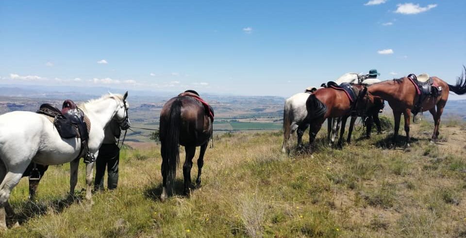 Ventersberg Stables – Horse Trails & Outdoor Adventures in Fouriesburg