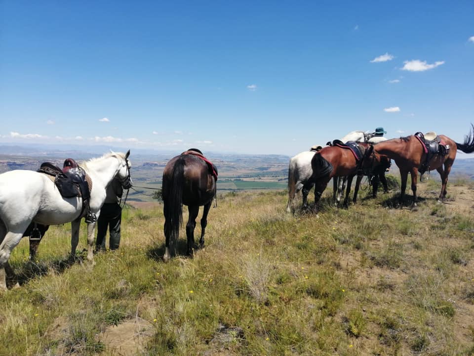 Ventersberg Stables – Horse Trails Ventersberg Stables Ventersberg Stables – Horse Trails & Outdoor Adventures in Fouriesburg