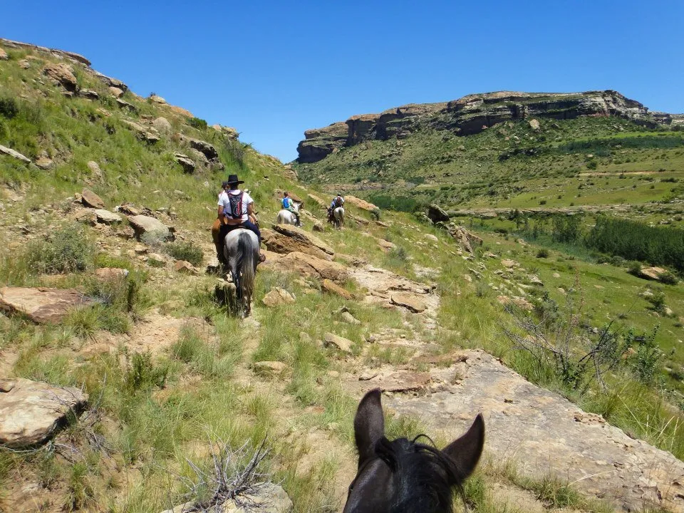 Ventersberg Stables – Horse Trails Ventersberg Stables De Hoop Farm, just outside Fouriesburg,