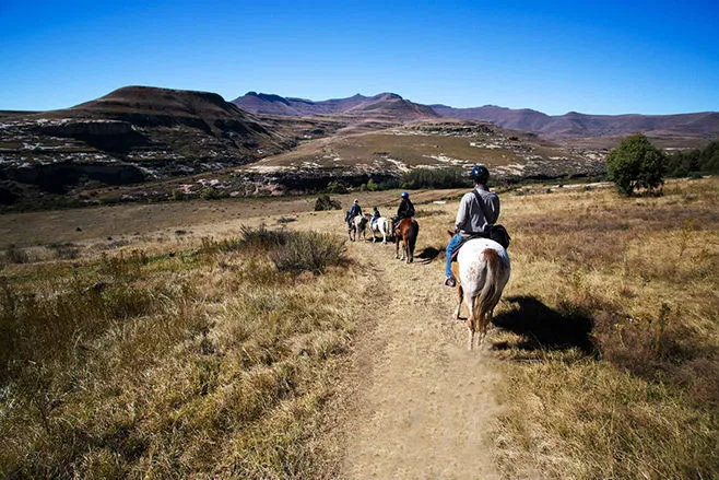 Discover the wild beauty of the Golden Gate Highlands National Park on horseback. Gladstone Stables offers guided one-hour horse rides through majestic mountain trails just outside Clarens.